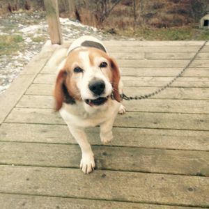 Meet your Posher, Kayleigh